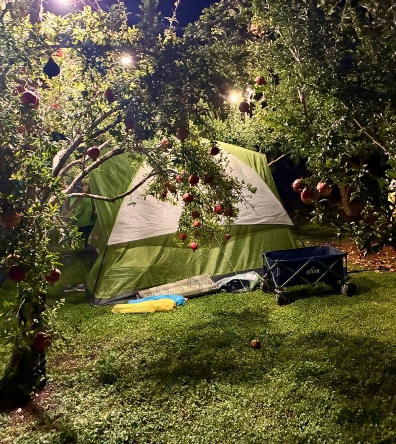חוות אבירם: מתחם קמפינג כיפי בגליל המערבי